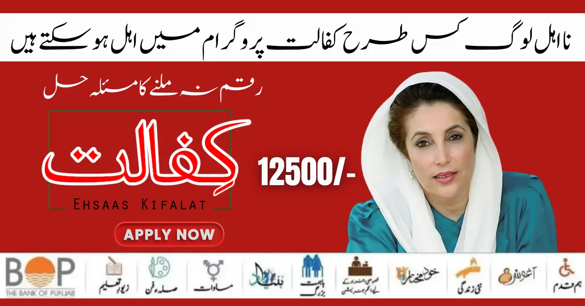 Benazir Kafaalat Program New 8171 Web Portal For Online Registration Start
