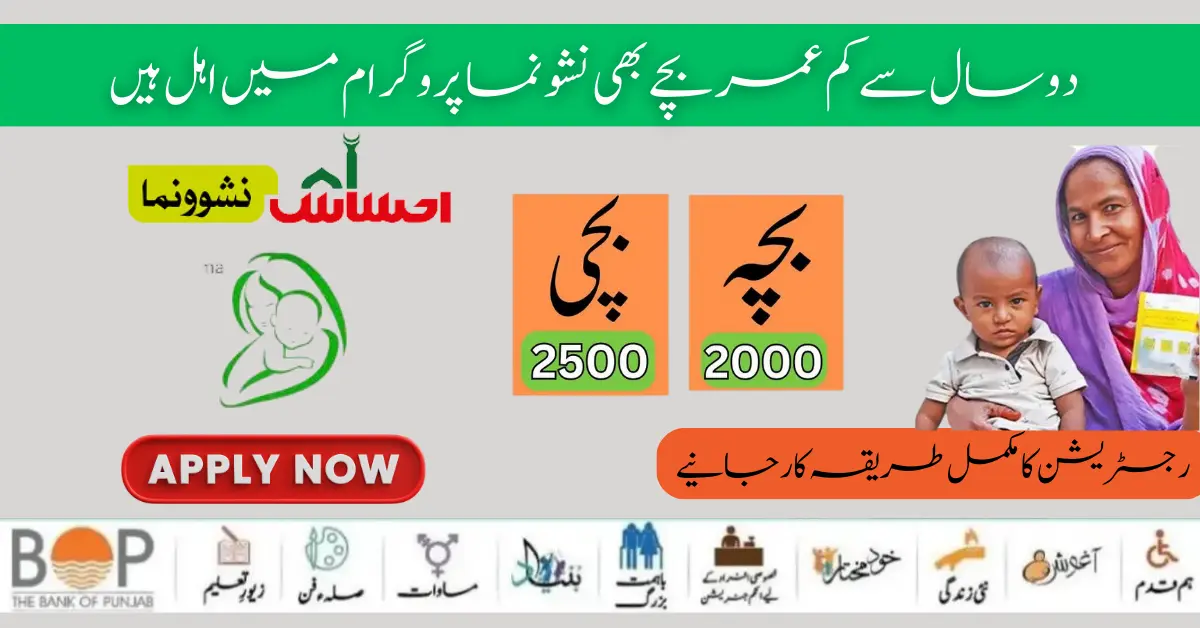 Benazir Nashonuma Program SMS Code New Registration Start 2024