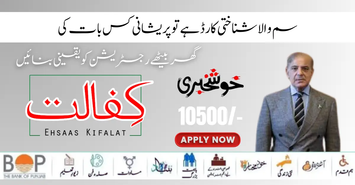 Benazir Kafaalat Program CNIC Check Step-by-Step Guide (Latest Update 2024)