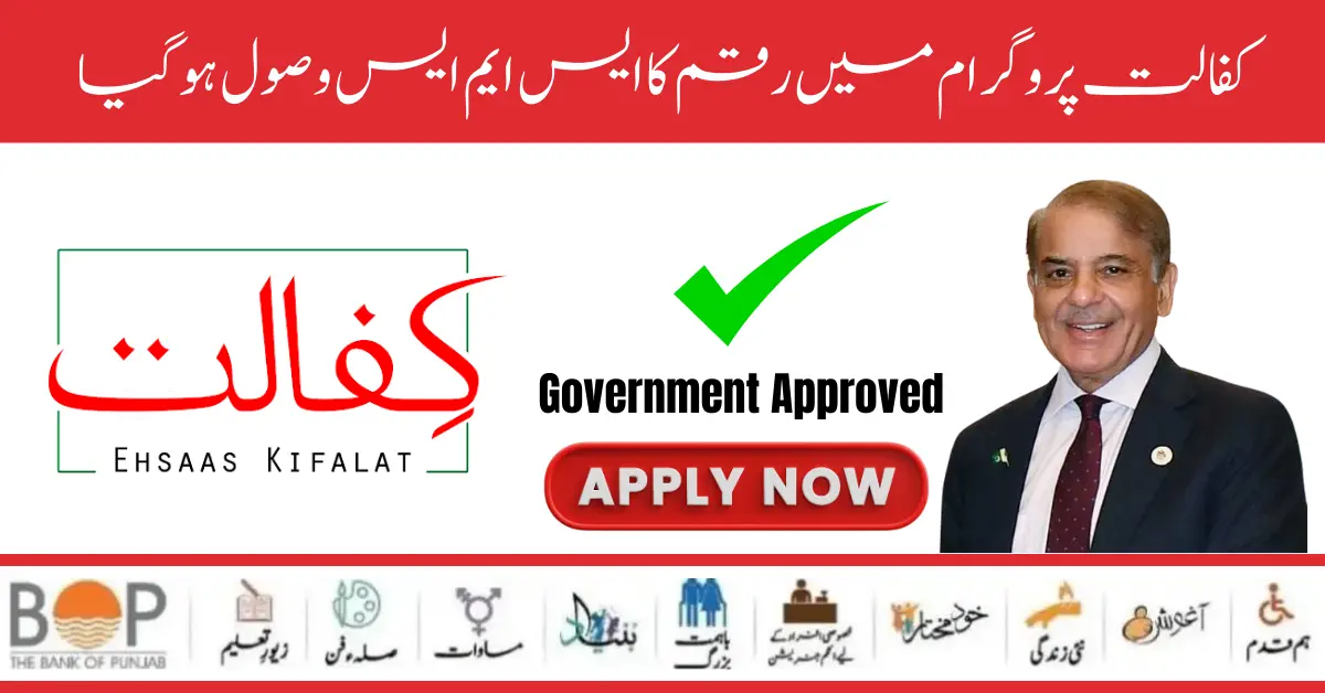 Benazir Kafaalat 12500/- Online Check Registration By 8171 Web Portal Form