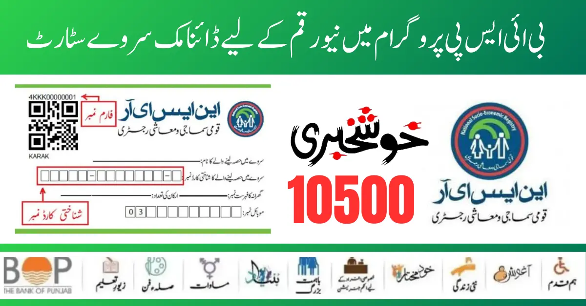 BISP 10500 New Payment Dynamic Survey Start For Ineligible Families