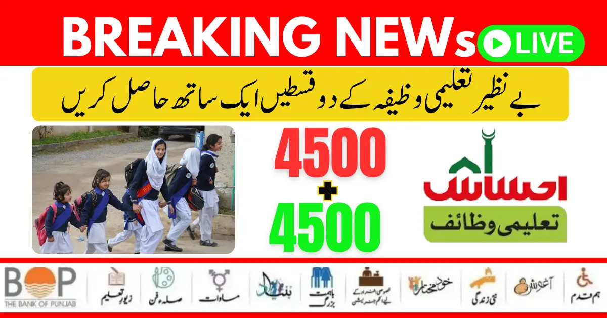 https://8171.pef.net.pk/8171-ehsaas-program-new-payment-25000/