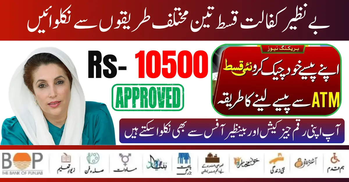Who Is Eligible For The 8171 Benazir Income Support Program? Check Status Online CNIC