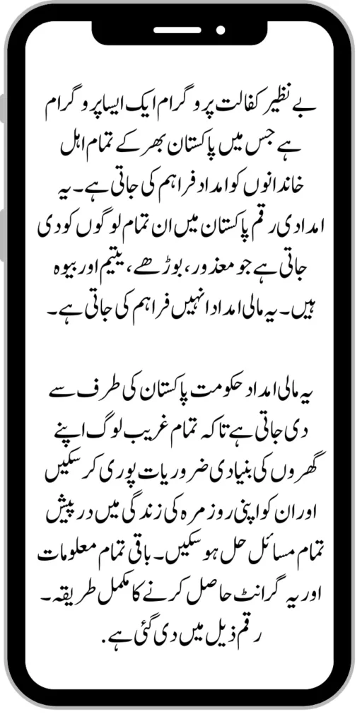 Document Verification Portal 8171 Launch For Benazir Kafaalat Payments 2024 2024 07 13T161658.523