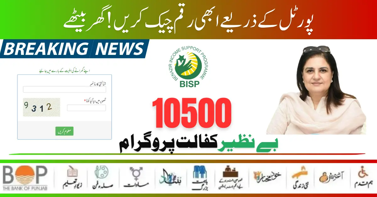 Web Portal 8171 Form BISP Benazir Income Support Program