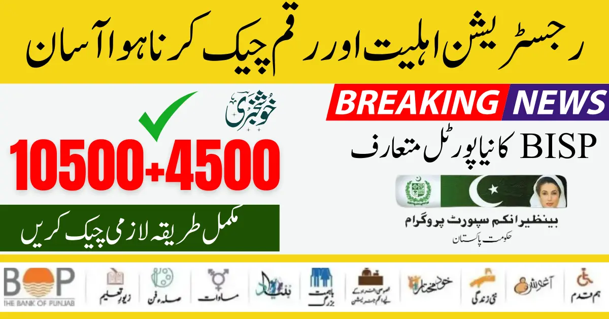 BISP Pakistan Benazir Income Support Programme| 8171 Online Web Portal