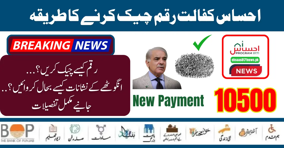 8171 Ehsaas Programme Kafaalat Payment Check Online and Get Through BISP