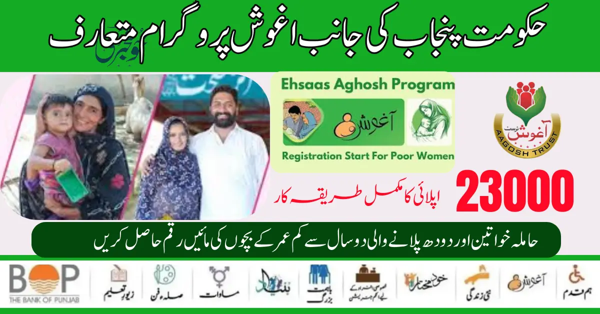 Agosh Program Eligibility Criteria And Payment Distribution 23000 Detail For Women's