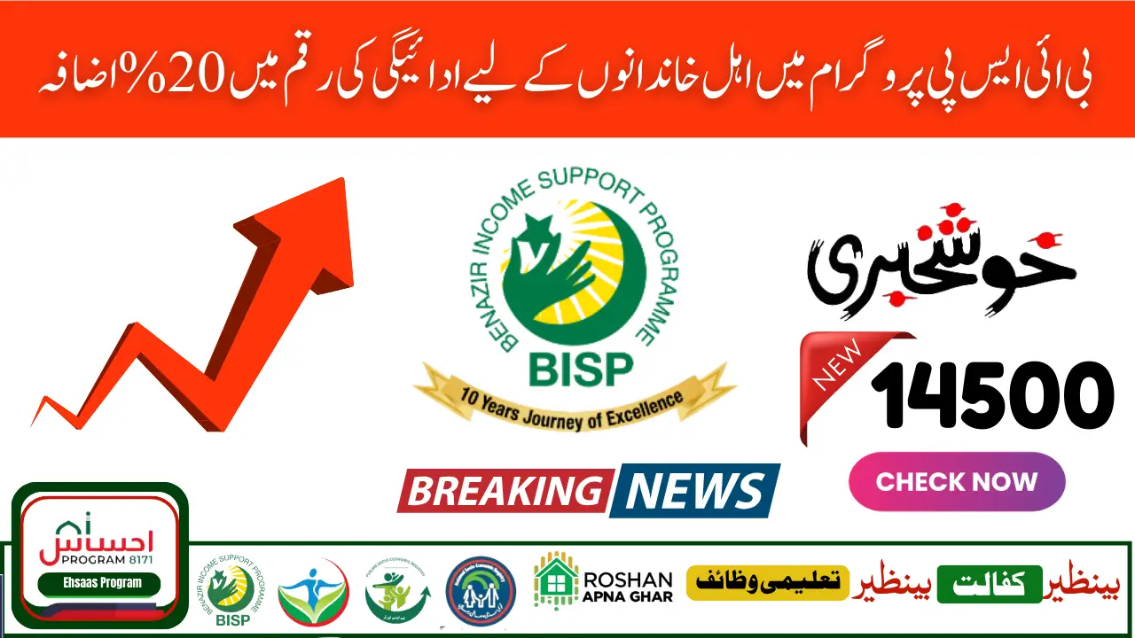 BISP New Budget 2025 1 Million Women Added June Payment Increased
