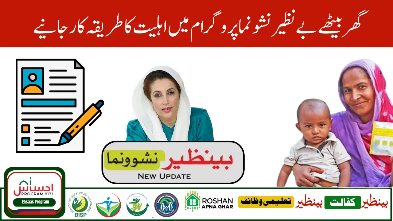 Benazir Nashonuma Program 2025
