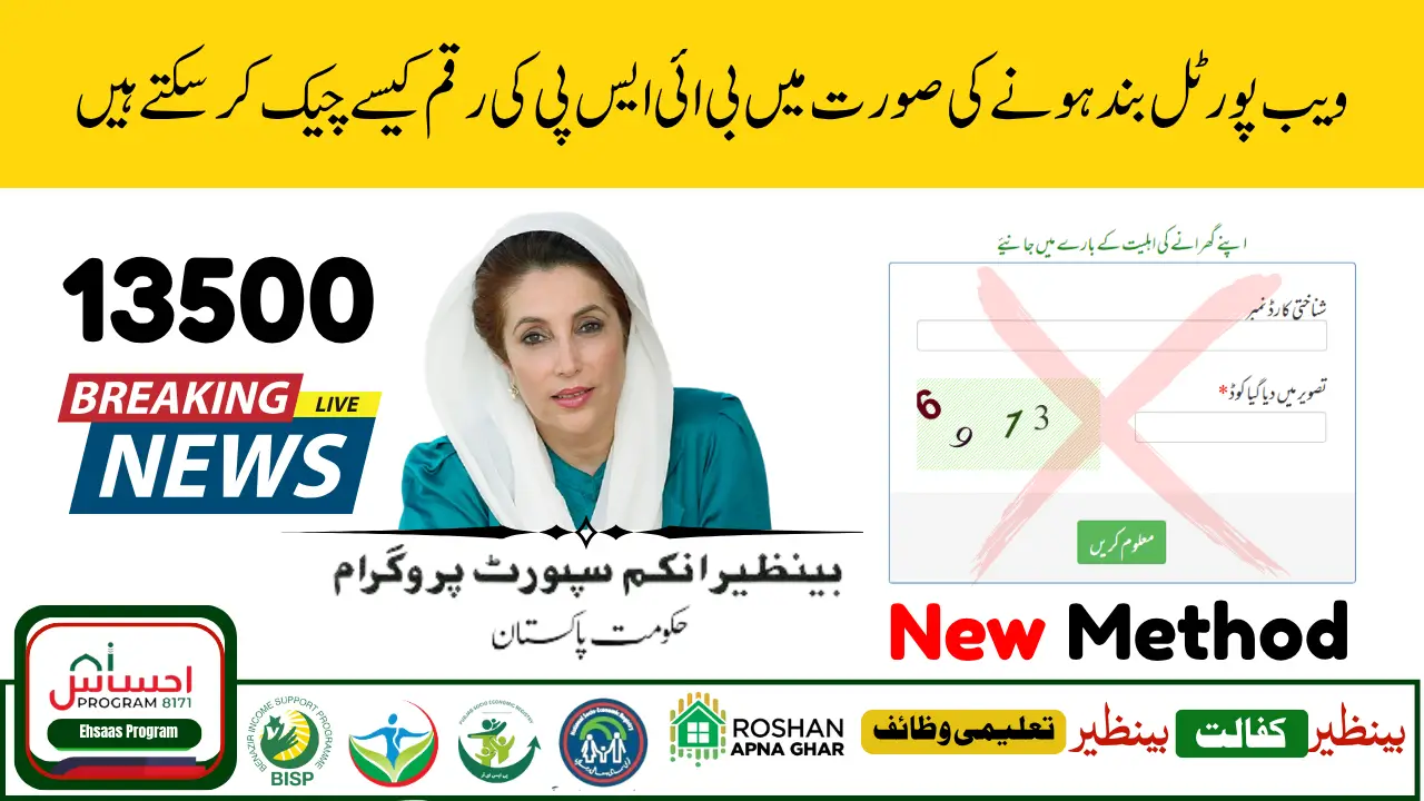 How to Check BISP Application Status Online Using Tracking Portal 2025