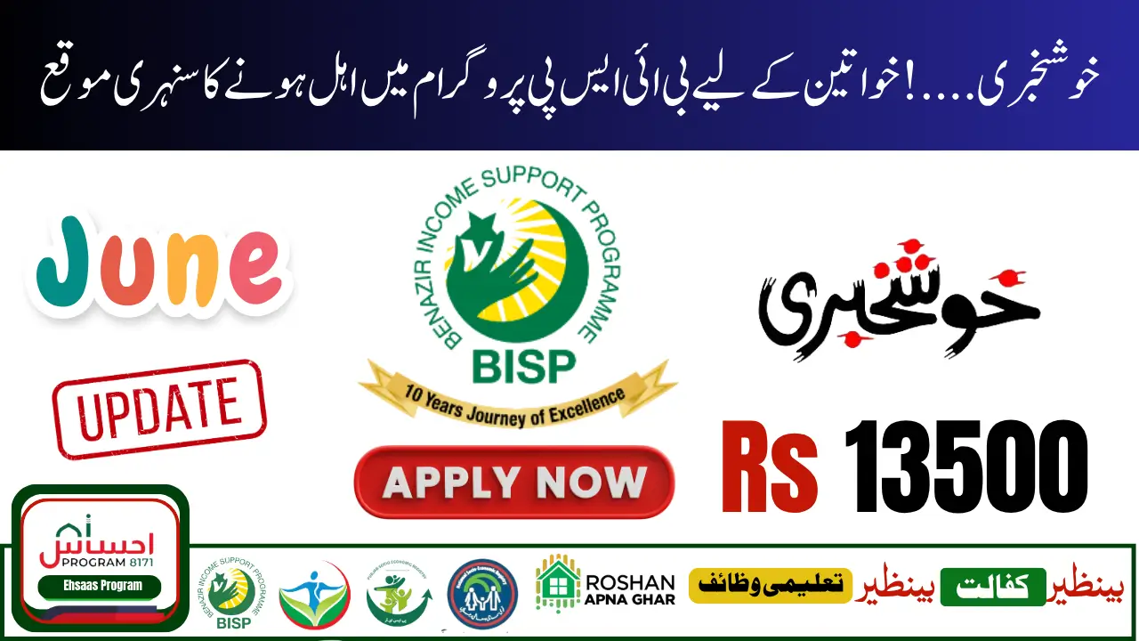 How to Re-Apply for BISP After Disqualification in 2025 – Full Complaint & Helpline Guide